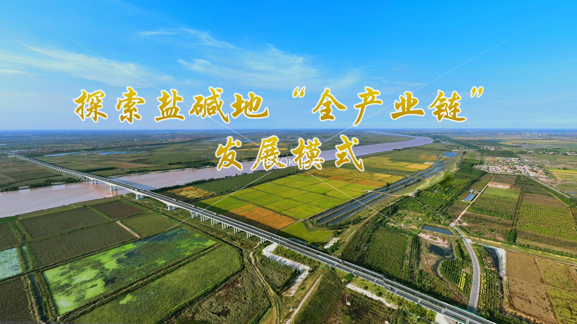 密码保护：盐碱地“全产业链”模式