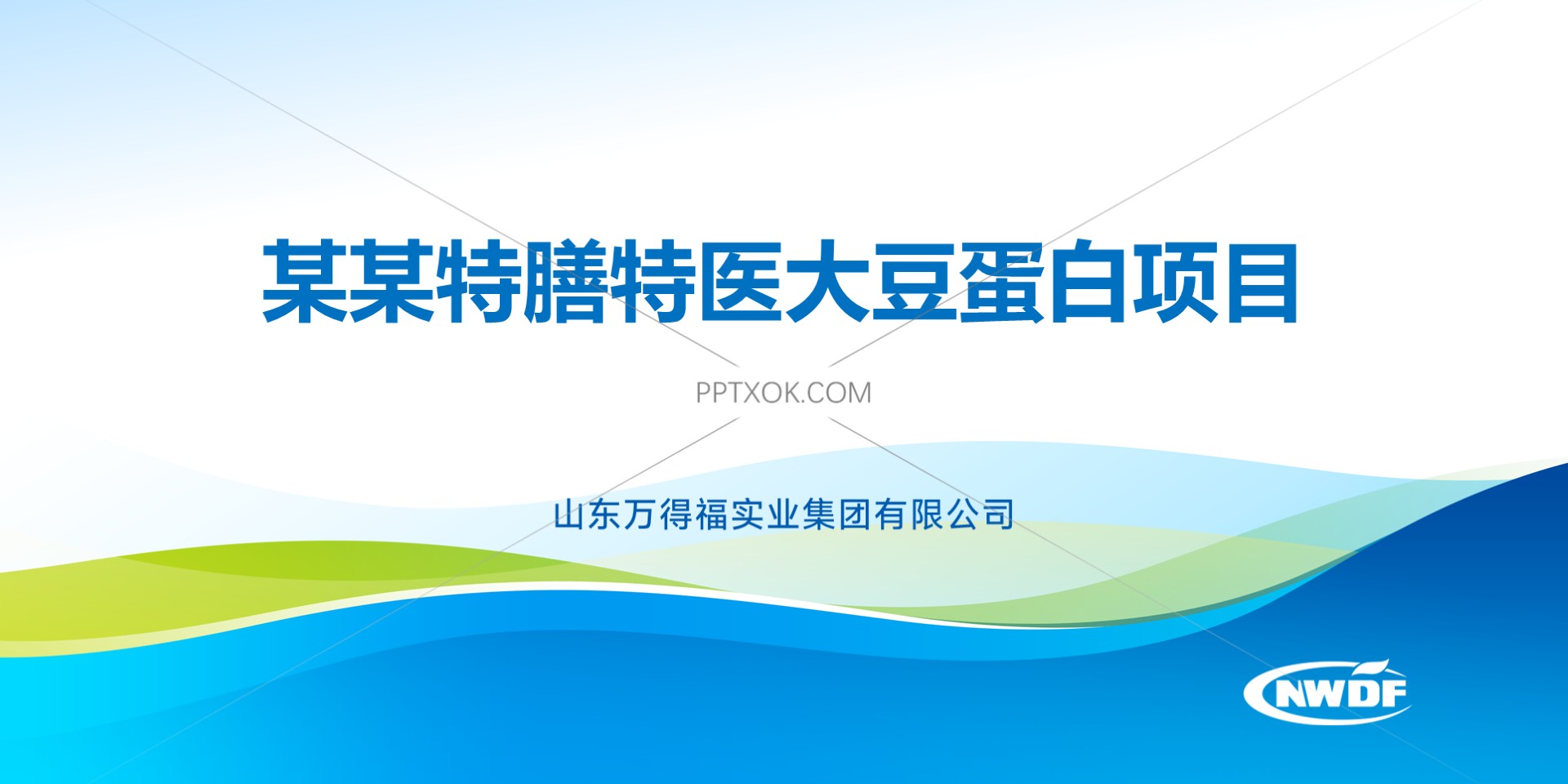 密码保护：山东某实业集团大豆蛋白重点项目观摩PPT