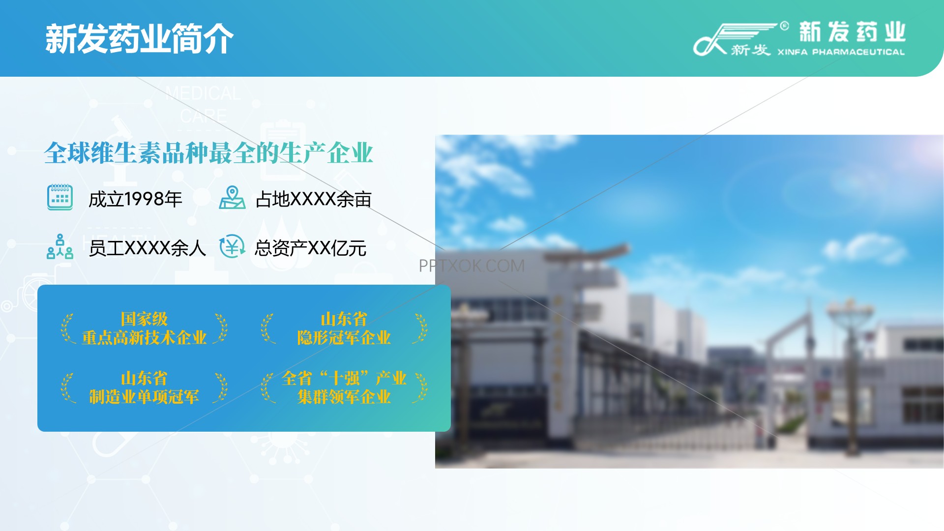 密码保护：新发药业 维生素龙头企业简介PPT
