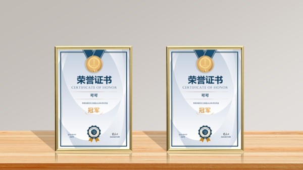 两张竖版荣誉资质证书展示 PPT版式