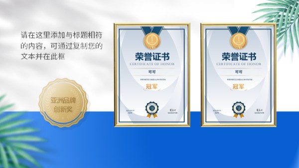 两张竖版荣誉证书PPT版式