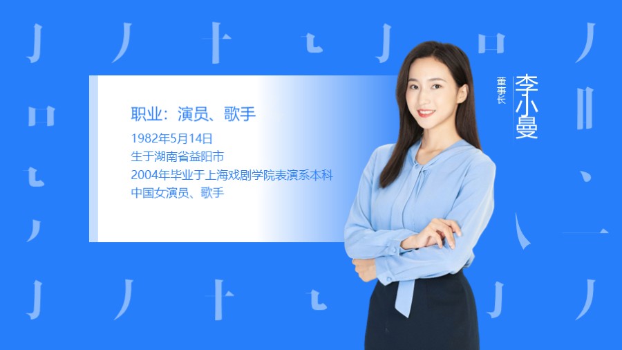 个人履历简介PPT板式