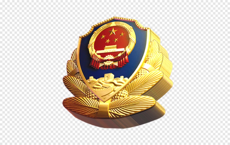 立体公安局派出所警察徽章