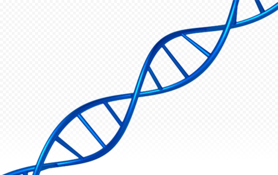 蓝色DNA脱氧核糖核酸