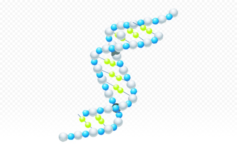 生物科技DNA链条